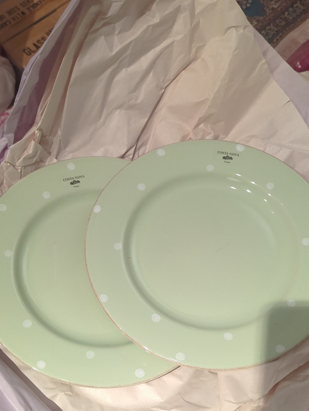 Pastel Green Polka Dot Plates (2)